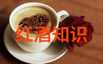 红酒的秘密揭开古老葡萄园的沉默