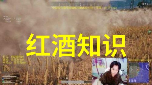 醉心酒文化一杯浸润千年
