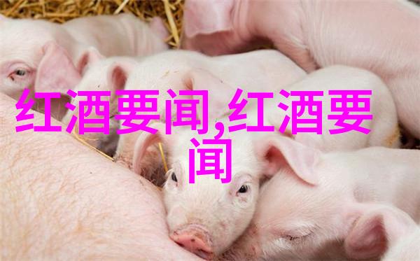 金银流传钱币收藏博览会盛宴