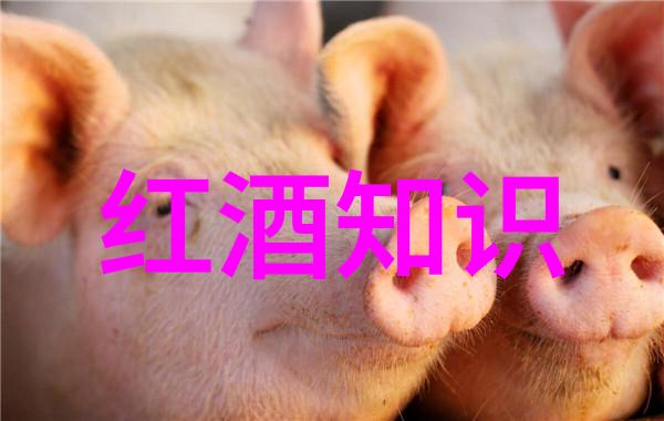 原来小吃也能搭配葡萄酒体验深圳周边2天短途旅游的社交场景