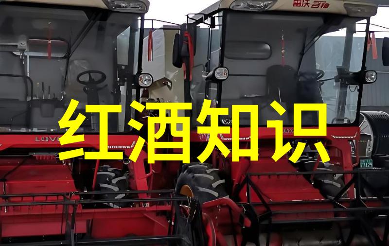 意大利心灵的港湾开放的心之旅