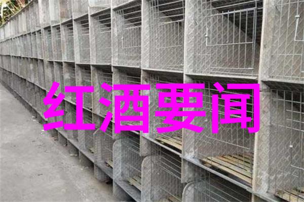 艺术品的时尚语境油画收藏的魅力与挑战