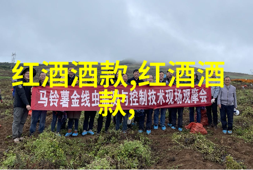 孙砚田的4点心得让中国卡通人物简笔画绽放情感光芒