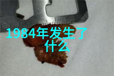 数字时光机探索收藏视频的历史与未来