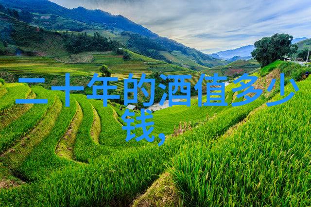 葡萄酒老产区-醉心时光探索葡萄酒古老传统与现代革新