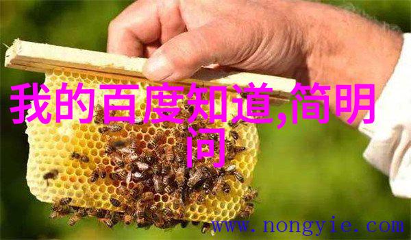 非洲葡萄酒香乡洛迪产区