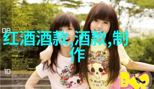 小王子与太阳四年级学生讲述的温暖历史人物故事
