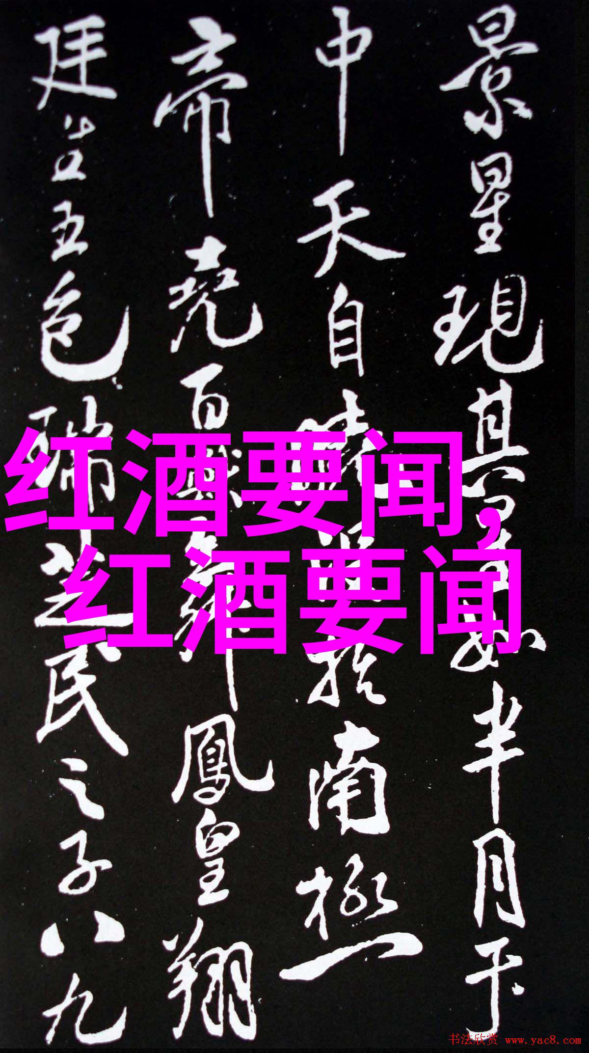 探索当地美一日游的精彩之旅