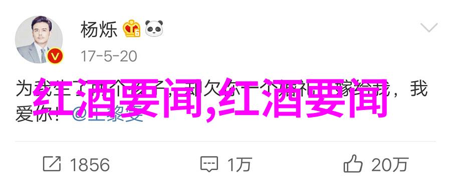 法国最大的葡萄酒产区位于意大利威尼托的物品场景中