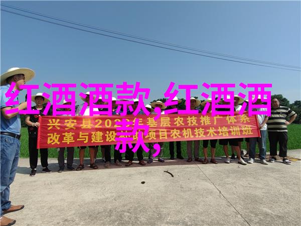 收藏者的心智游戏识别还是鉴赏哪个更重要