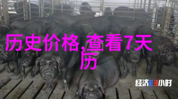 3月6日世界上最受欢迎的长相思红宝石玫瑰绽放前所未有的魅力