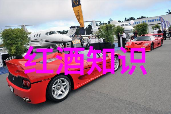 当法国葡萄酒遇上幽默一场酿造笑声的盛宴