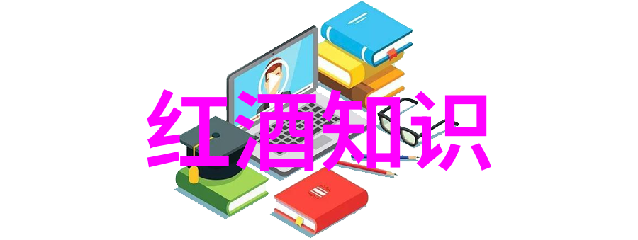 生活便捷工具 探索手机应用市场中的私人空间-个人资料夹