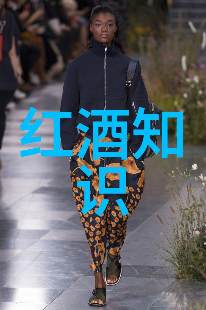 品鉴红酒指南解密世界各地精酿佳酿