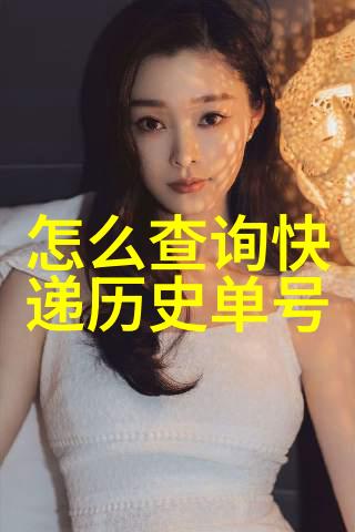 从键盘的回声到时间的长廊揭秘如何重温历史搜索记录的迷雾之旅