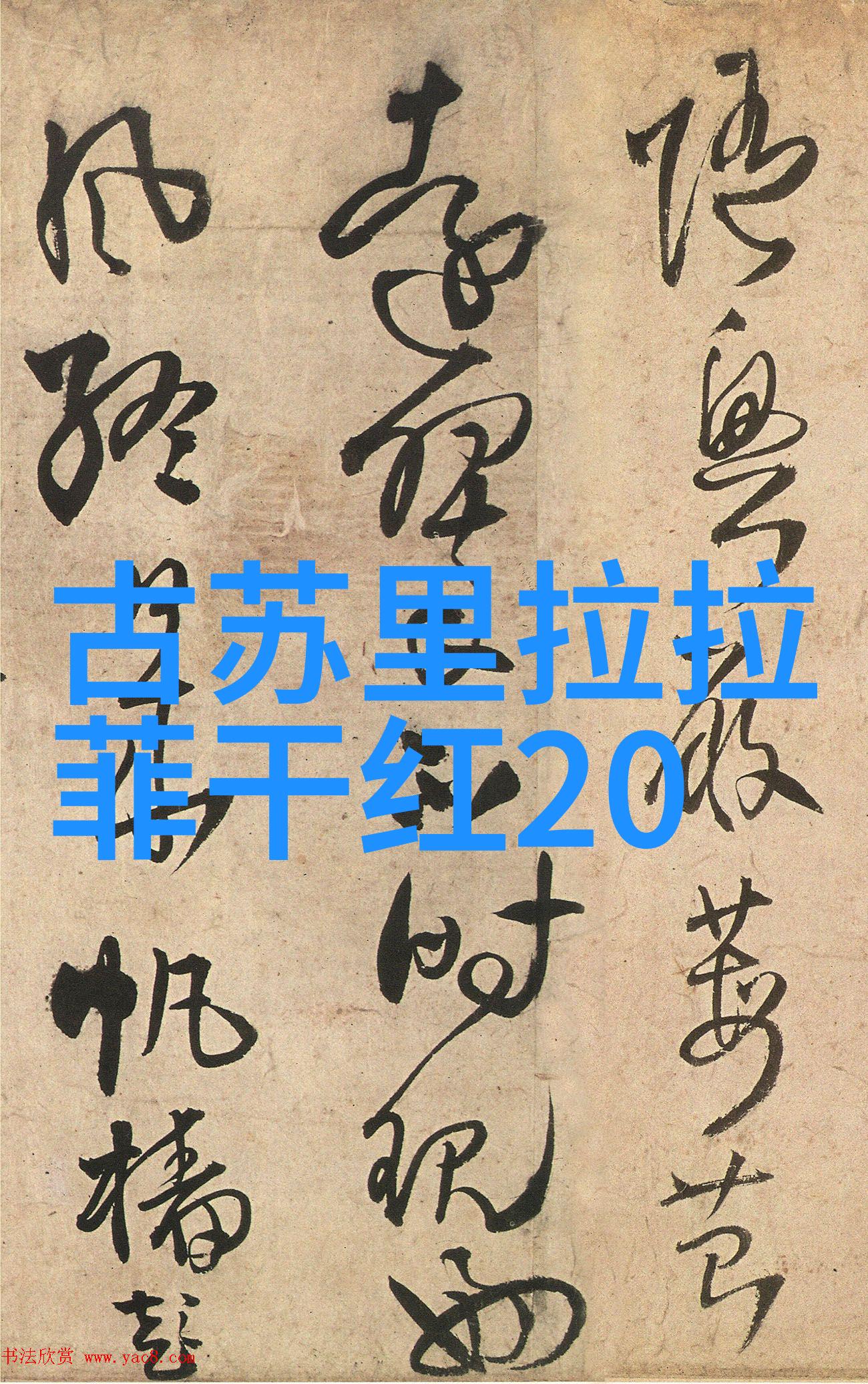 猫品种美短喵这宠物是怎样赢得我心的