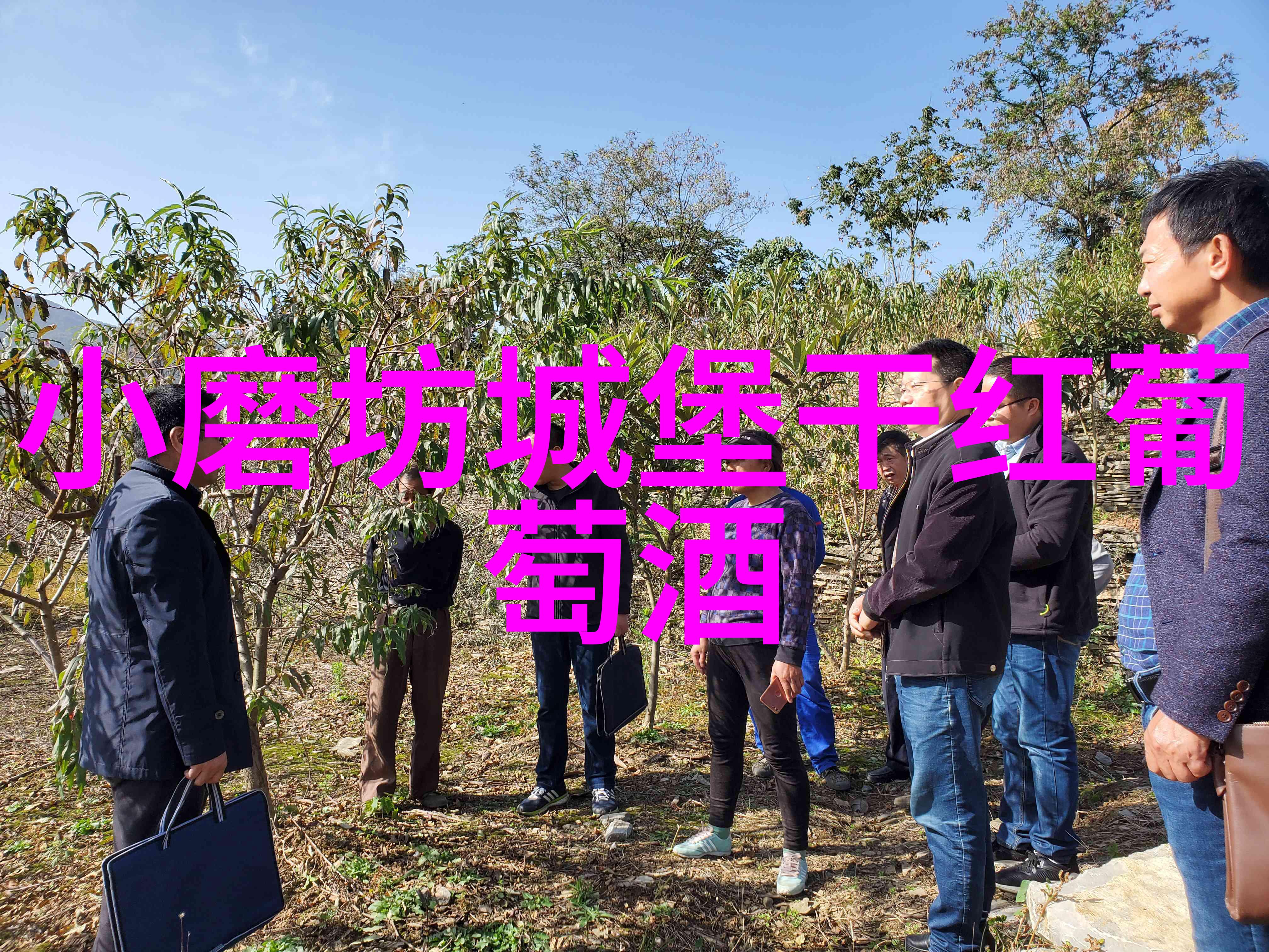 校园体育新风尚老师亲自上阵一课让学子汗水洗涤身体与灵魂