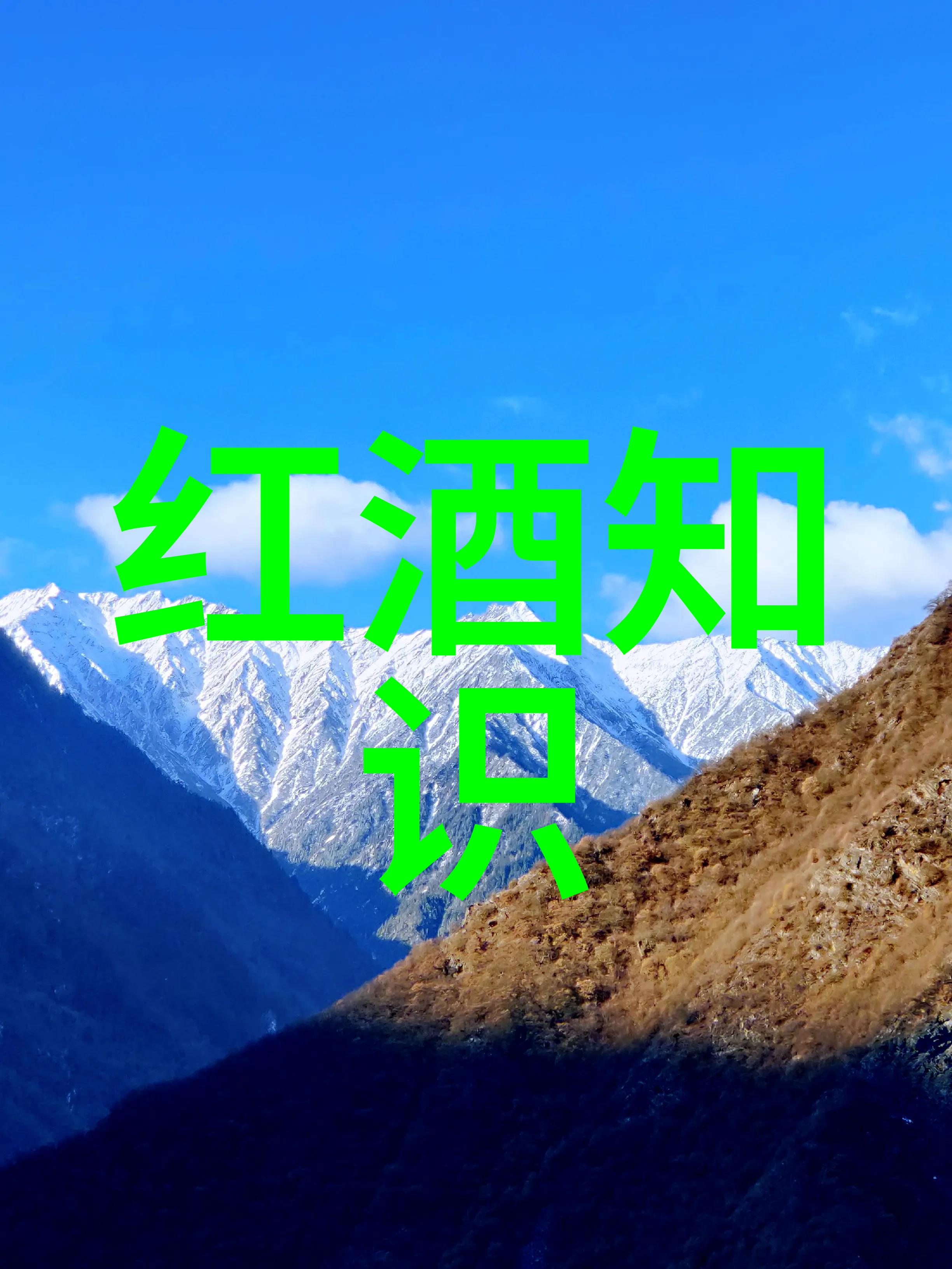 世界红酒之都揭秘全球十大葡萄酒产地
