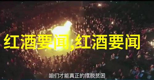 探秘收藏天下APP下载解锁无限收藏世界的门扉