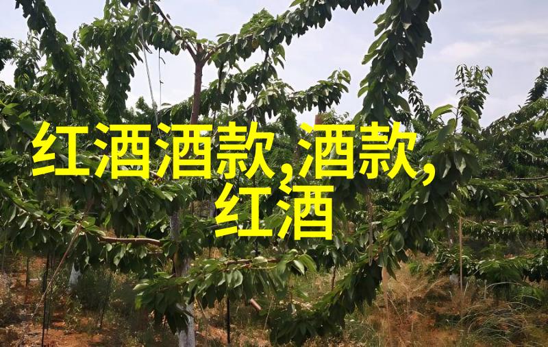 玉米的丰富面貌揭秘这颗金黄果实的多样品种