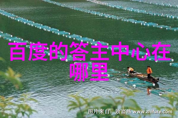 宠物圈中的人气王者探索猫的十大热门血统