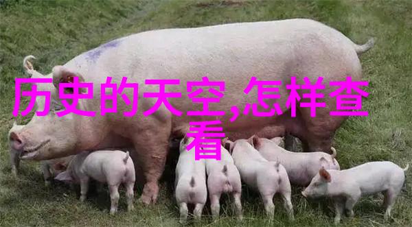 古代智者孔子的仁学之旅