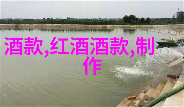 御前新赐紫罗裙宫廷礼服的秘密