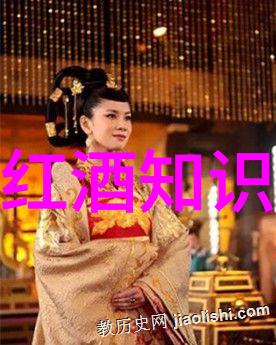 在寻找Morgenhof红酒的奇幻之旅从地球到月球再到超市
