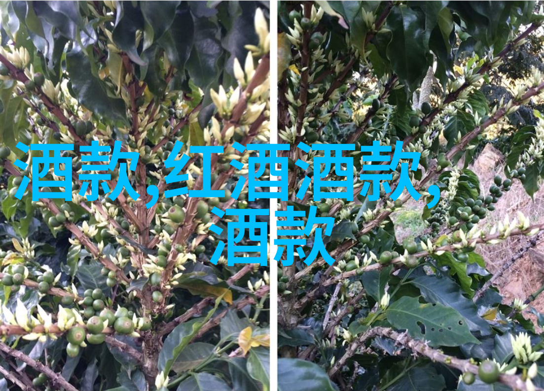 猫影随笔喵响中的画卷