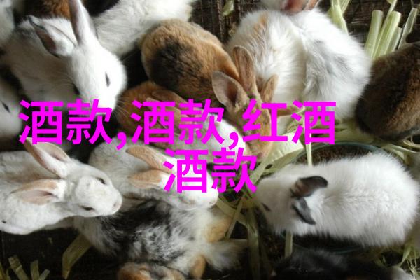 世界各地独特风情深入12个地方特色和原产地家的宠物展览