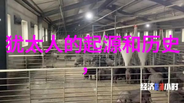 宇宙和人类历史是怎样通过生产力决定的