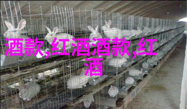 绽放于二龙湖畔探秘玫瑰庄园的香甜秘密