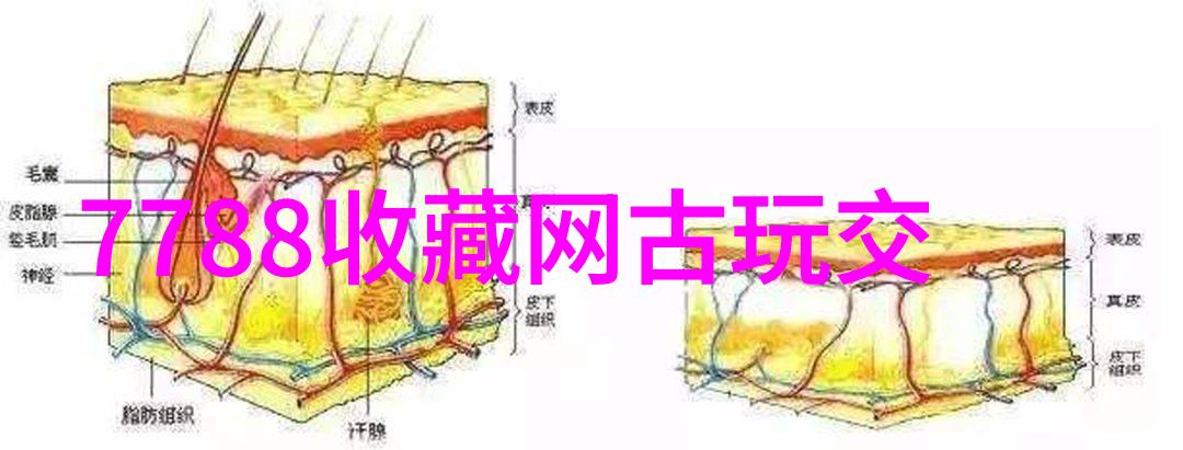 法国红葡萄酒品种大全探索波尔多的传奇