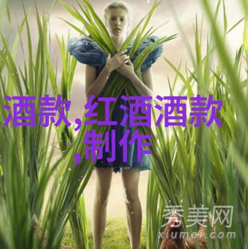 揭秘我的收藏中心珍品展览与故事回放