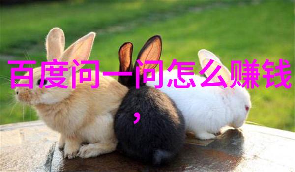 国家收藏品交易中心官网网址-数字时代的文化宝库探索国家收藏品交易中心官方网站的魅力与便利