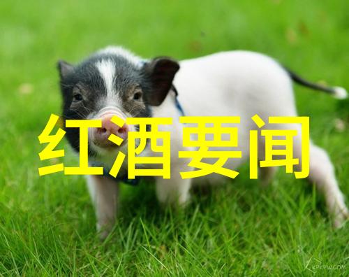 国家收藏品交易中心官网网址探索