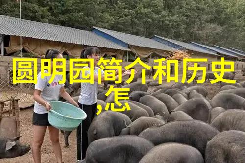 做葡萄酒的心得感受 - 梦想酿造从葡萄到液体诗篇的旅程