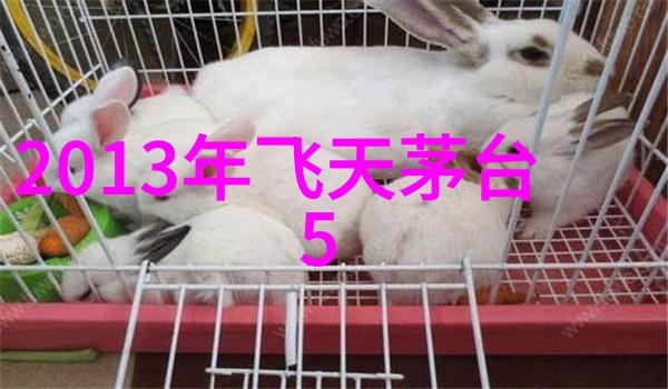 上海周边探秘揭秘那些不为人知的近郊奇观