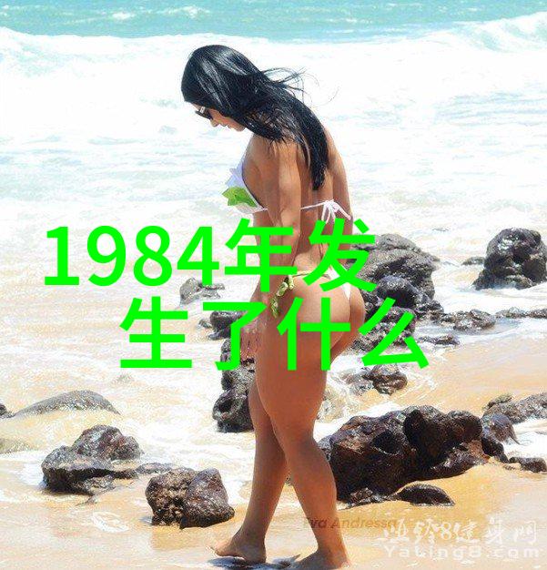 指数基金之谜数码森林中的指南者