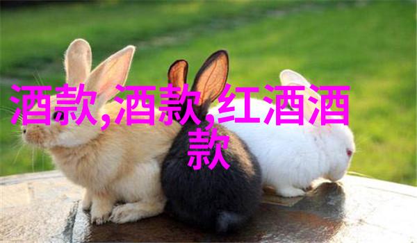 人工智能技术-智慧解答深度探索AI问答网页版的未来