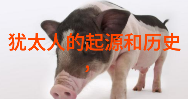 尹卓莉亚猫咪品种鉴定系统