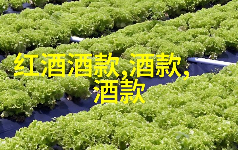 醉心红酒探索浪漫晚宴的五大主题