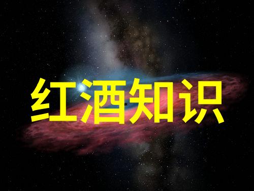 欧洲城堡的秘密守望者
