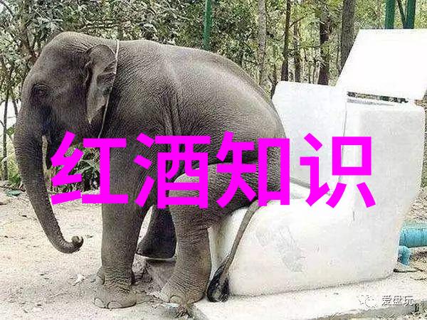 帕斯奎尔酒庄的故事larose红酒价格如歌诉说着醇香与激情的交响曲