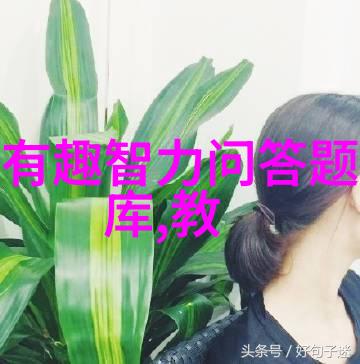 玉米品种之多数以千计的金黄色珍宝
