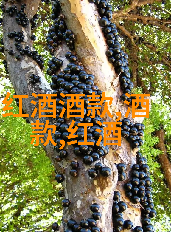 北京庄园董事长的城堡犹如一座雄伟的守护者
