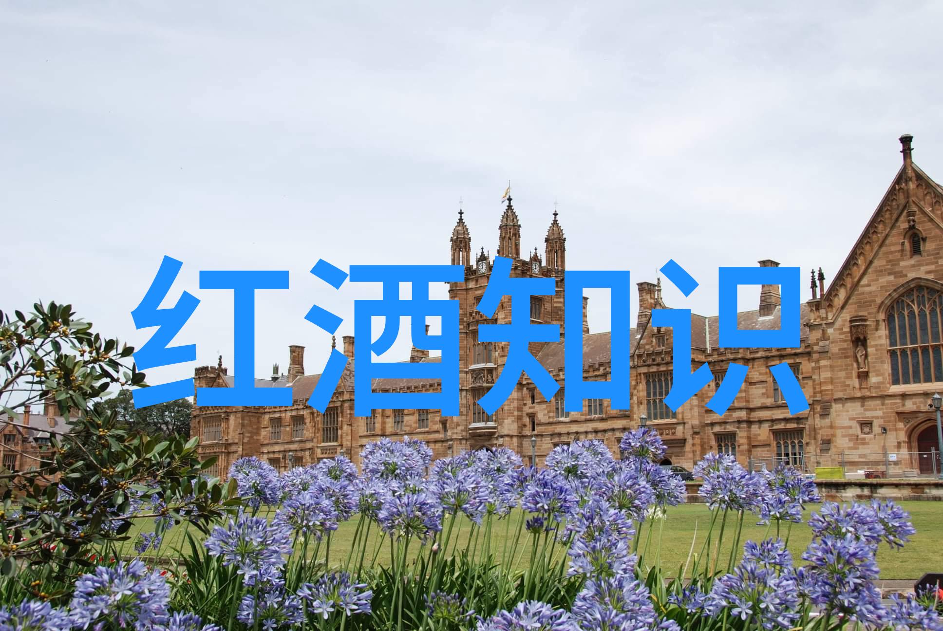 维也纳咖啡的制作方法维也纳咖啡会不会很甜很腻