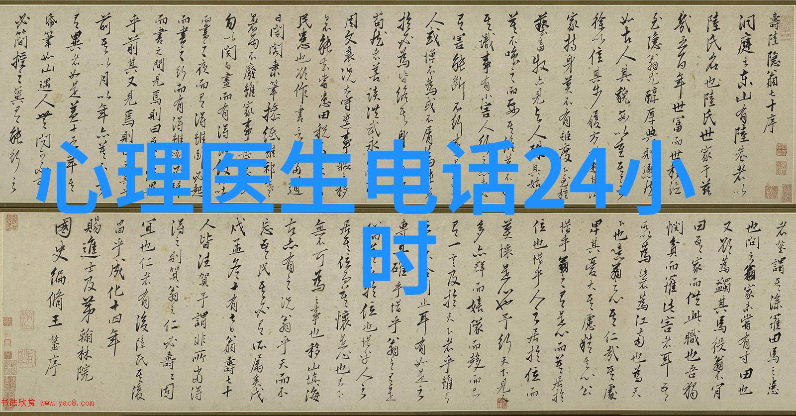 探秘全球十大猫品种从模样到性格了解它们的魅力