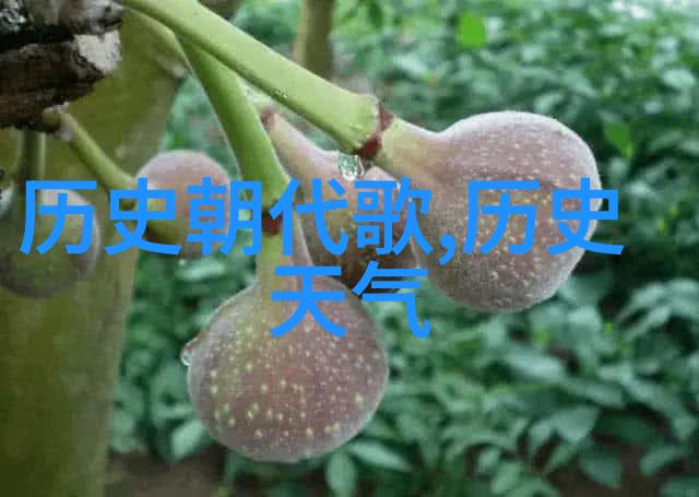 咨询服务平台我要找个好心的问答大师