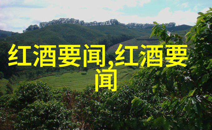 微信收藏的视频从静默中的珍品到朋友圈的闪耀巨星